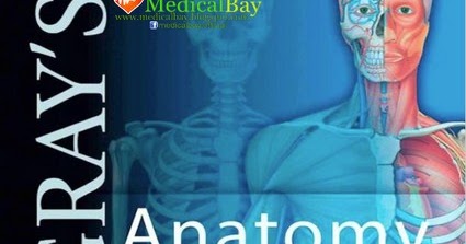 Gray's Anatomy for students free download PDF eBook online ...