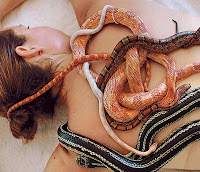 Snake Massage Parlour 