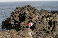 Café Portugal - PASSEIO DE JORNALISTAS nos Açores - Pico - Cachorro