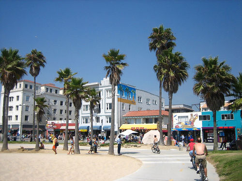 Venice Beach Pub Hunt