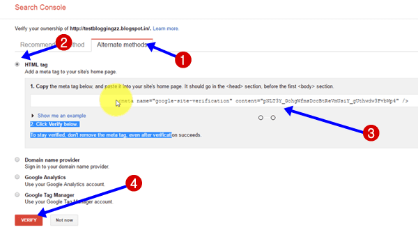 Google search Console Setup