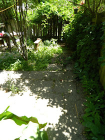 Toronto Leslieville garden cleanup before weeding by Paul Jung Gardening Services