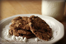 Hot Cocoa Cookies