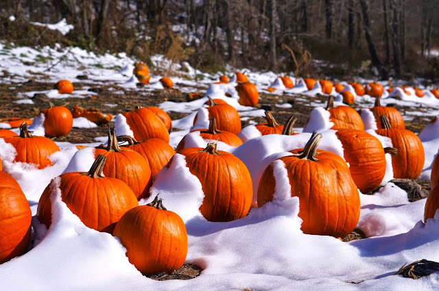 The Virginia Creeper Trail,Pumpkin Patch,Christmas Tree Farm,Biking,National Forest,Snow,yoga,dancers pose,head stand pose.