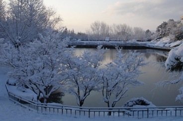 Pohang Yeongildae Lake 03