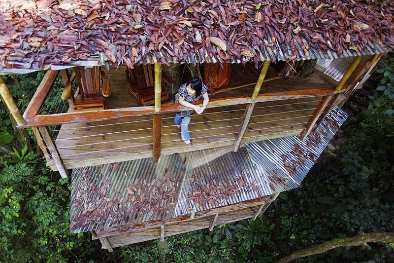 3G cell services is available in most of the parcels so you can stay in touch with the world. - Your Childhood Dreams Will Be Re-Awakened When You See These Magical Treehouses.