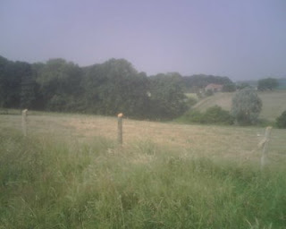 Op de flanken van de Vidaigne berg