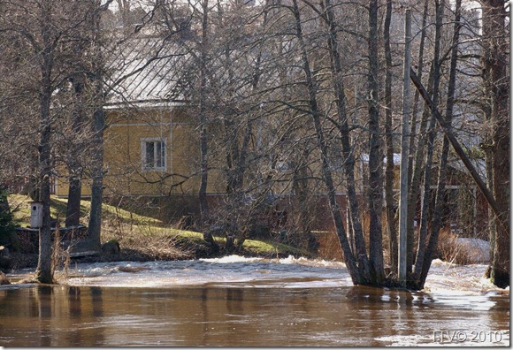 huhtikuu 11.2010 006