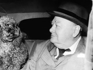 Rufus: Winston Churchill's Beloved Poodle