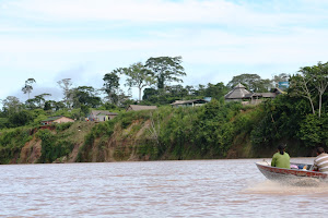 Barrancas do Purus