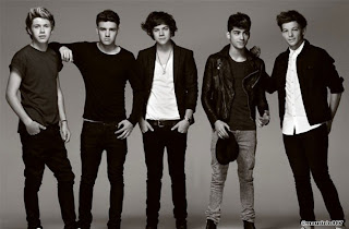 One Direction 2013 group wallpaper