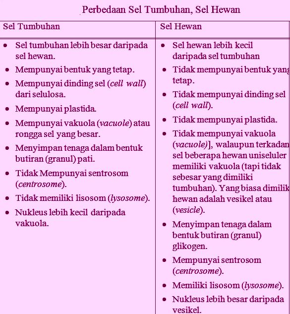 Apa Perbedaan Sel  Hewan  Dan Tumbuhan lihat Gambar 