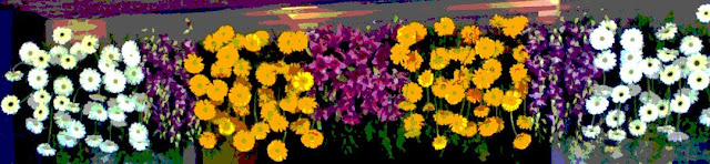 flowers for headers