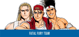 http://kofuniverse.blogspot.mx/2010/07/fatal-fury-team-kof-95.html