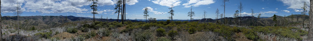 68: full panorama missing a single tree except its edges at the edges
