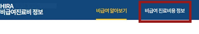 건강보험심사평가원-비급여-진료비용-정보