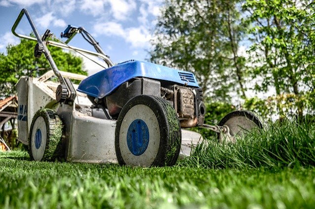 how to reseed a lawn