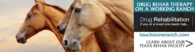 equine drug rehab Texas