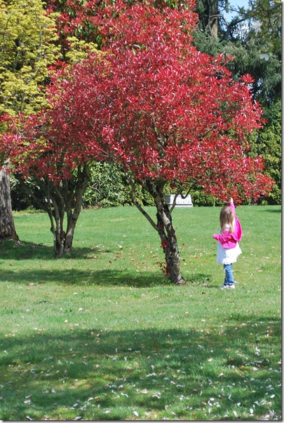 Playing in the yard 017