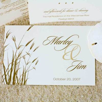 Wedding Invite Ideas on Beach Wedding Invitation Ideas   Wedding Ideas Picture   Find Your