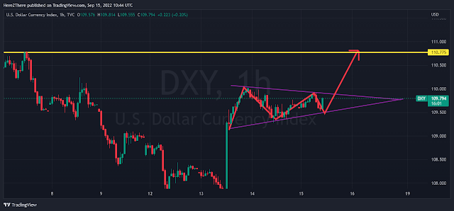 U.S Dollar Index Bullish Flag