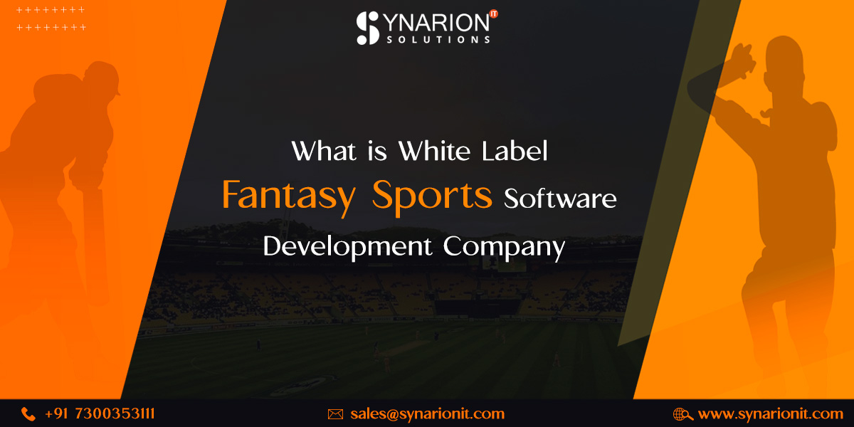 What is White Label Fantasy Sports Software Development Company | Synarion IT solution?