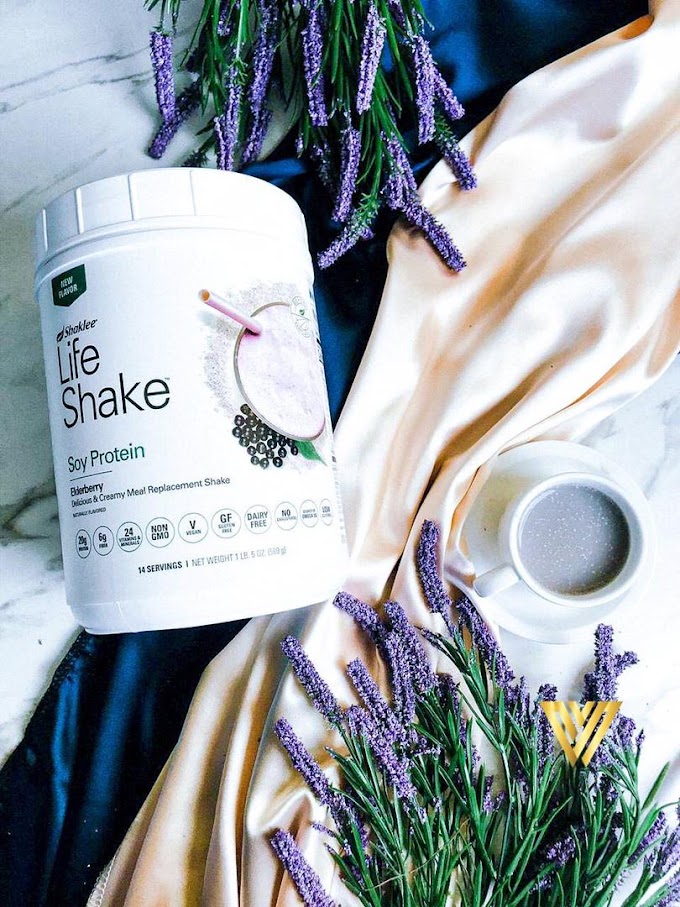 Life Shake Elderberry Produk Terbaru Shaklee