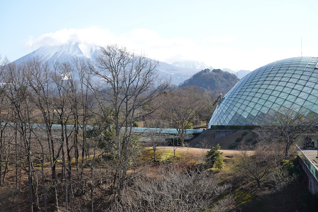 鳥取県西伯郡南部町鶴田 とっとり花回廊 フラワードーム