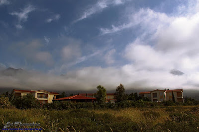 Monachus Monachus Apartments: road view