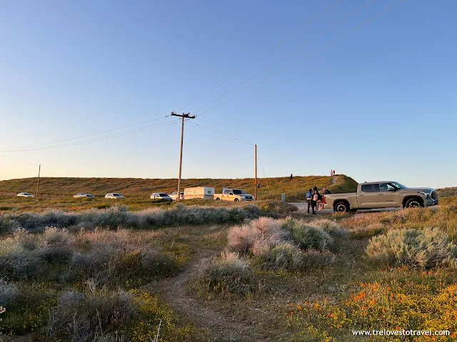 Antelope Valley California Poppy Reserve Best Time To Visit, California