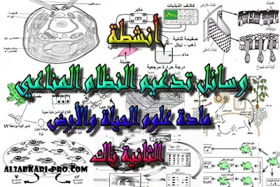 تحميل أنشطة : وسائل تدعيم النظام المناعي للسنة الثانية باك , درس , ملخص , تمارين , امتحانات وطنية علوم الحياة والارض , علوم الحياة والارض , فروض علوم الحياة والارض , الثانية باك , بكالوريا , دروس اونلاين