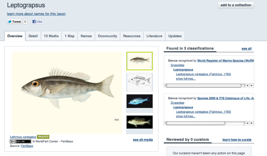 Automating News Gathering and Classification  