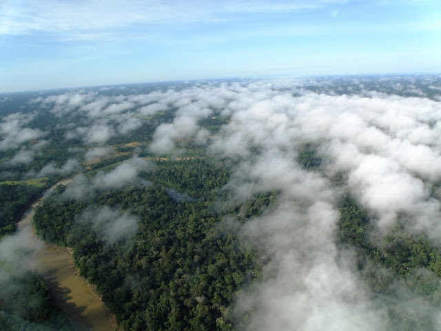 MP 809 viabiliza mais recursos para gestão de UCs © WWF-Brasil/Bruno Taitson