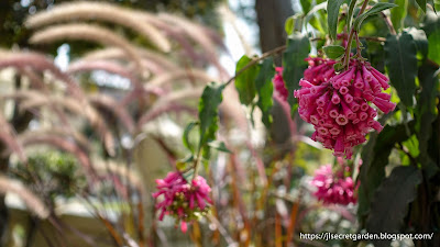 Kathmandu Garden of Dreams botanical art flower types