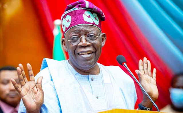 Tinubu makes additional appointments as he resumes office