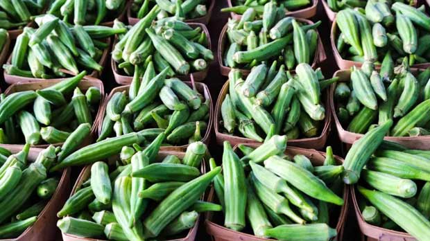 Sayur Okra, Ini Manfaat dan Cara Hilangkan Lendirnya