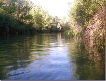 clip_image004[4]