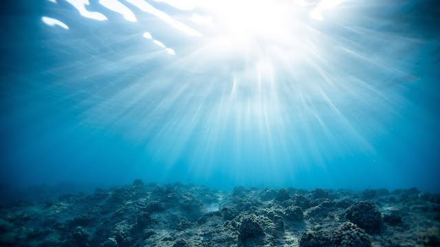 Underwater, Rays, Light, Ocean, Corals Wallpaper