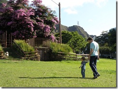 1 ano e meio praça do papa (4)