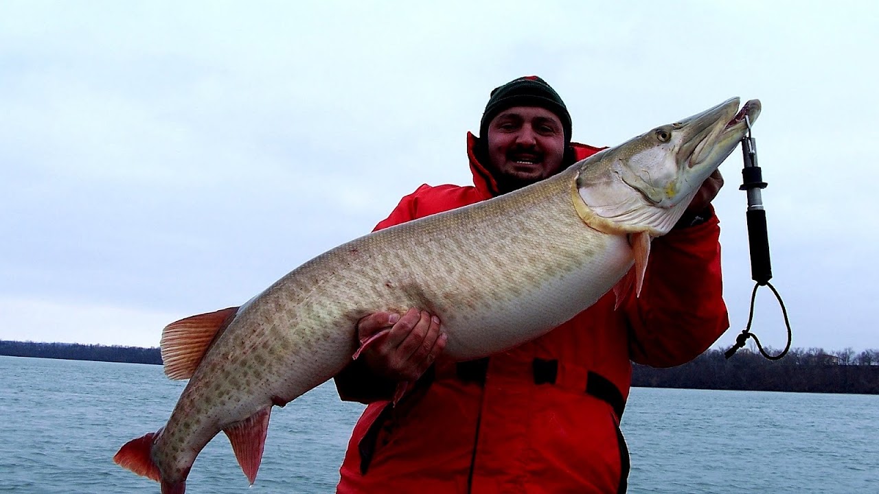 Salmon Fishing Ontario