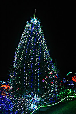 zoo lights christmas photography