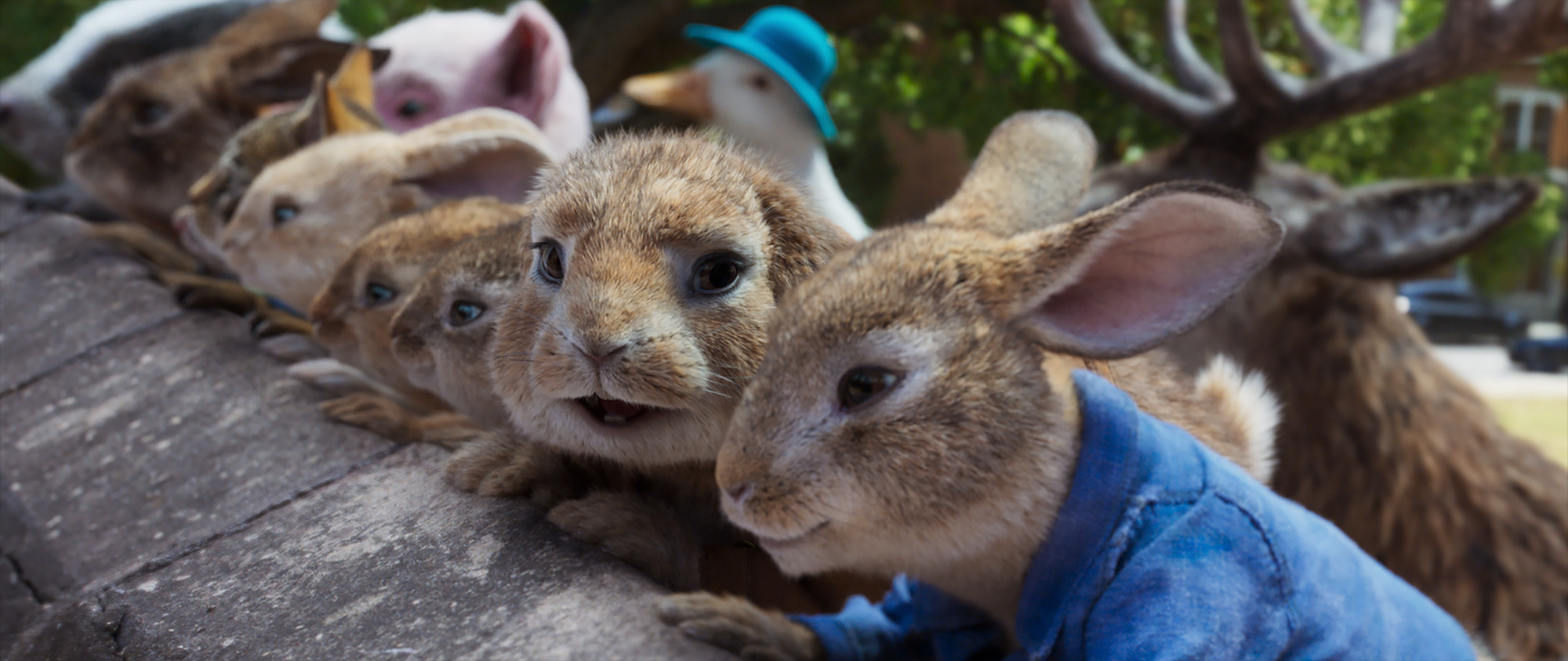 WATCH: PETER RABBIT 2: THE RUNAWAY Movie Trailer Released