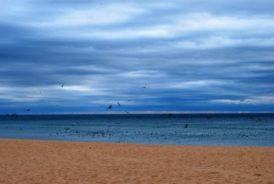 Armação de Pêra, Outubro de 2008, © António Baeta Oliveira