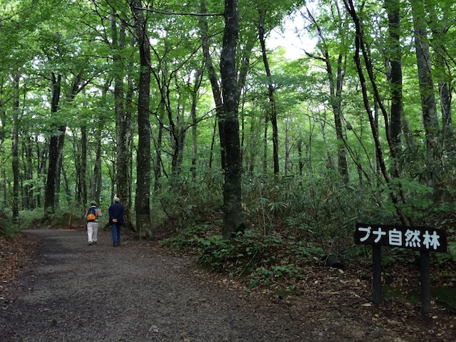 20140920-IMG_0617.jpg