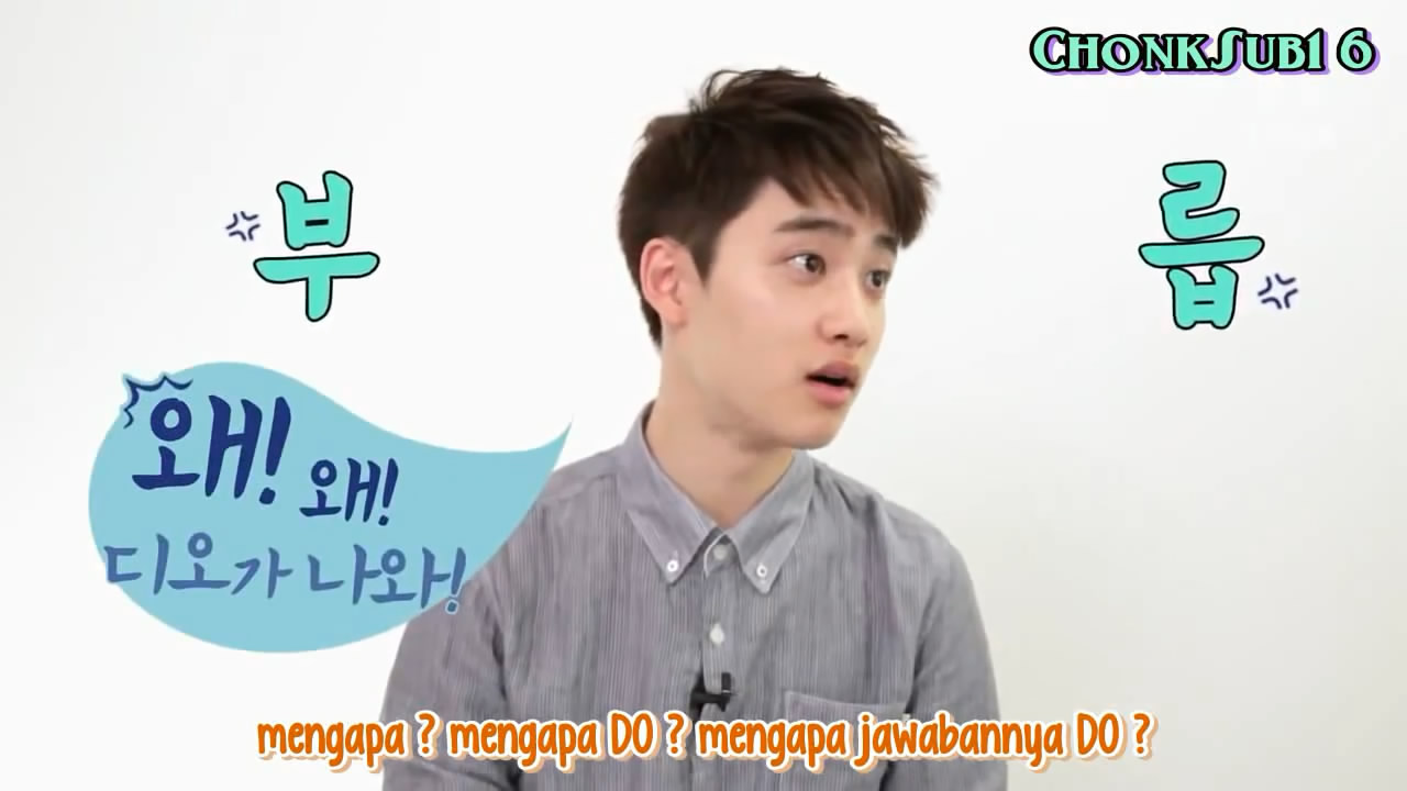 Biodata Dan Fakta Do Kyungsoo Aka DO EXO LOVE YOURSELF