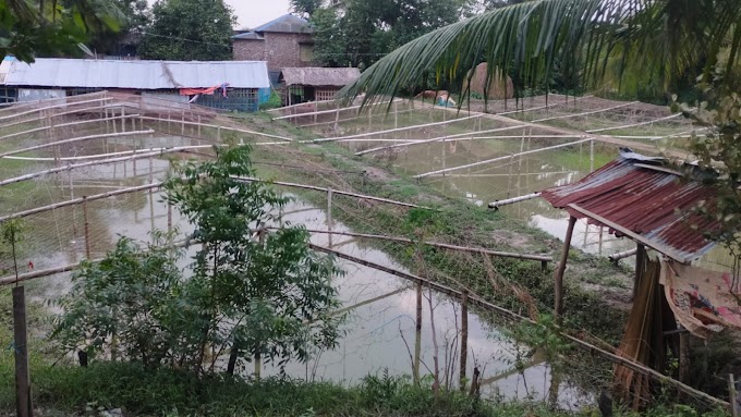পাইকগাছায় ৮০ বছরের দখলী সম্পত্তি জবর- দখলের পাঁয়তারার অভিযোগ 