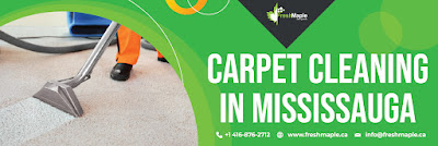 Carpet%20Cleaning%20in%20Mississauga%201.jpg