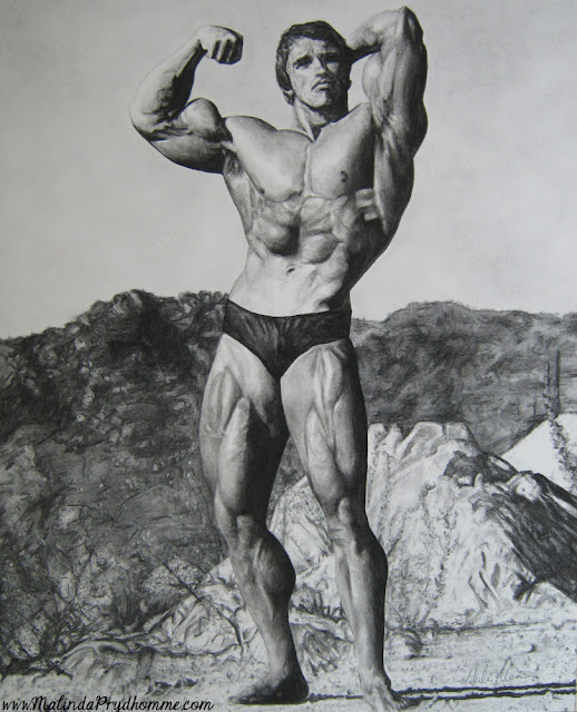 Arnold Schwarzenegger Drawing, original artwork, portrait artist, celebrity art, charcoal drawing, charcoal artist