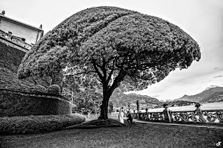 Daniela Tanzi Lake-Como-wedding-photographers, http://www.danielatanzi.com﻿  Daniela Tanzi Lake-Como-wedding-photographer, lake-como-wedding-planner  http://www.balbianellowedding.co.uk/   daniela_tanzi_photographer_villa balbianello