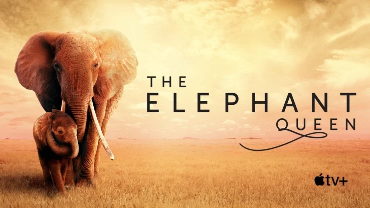 Watch The Elephant Queen on Apple TV+